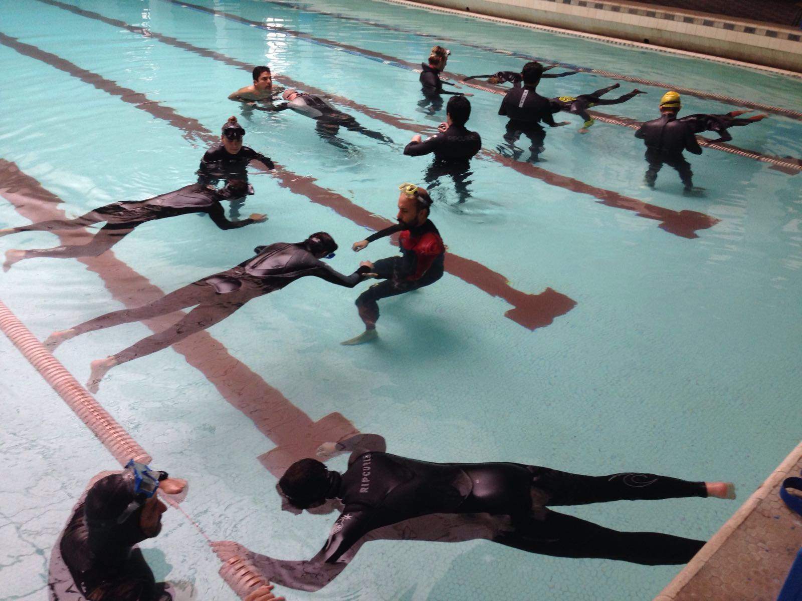 a group of people swimming in the water