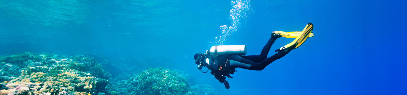 a person swimming in the water