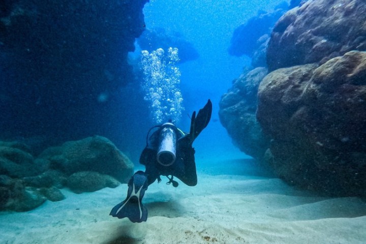 a person swimming in the water