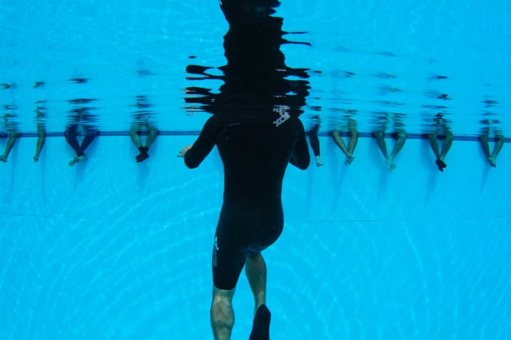 a bird swimming in water