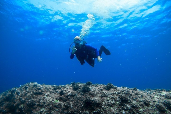 a man swimming in the water