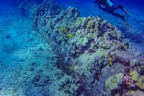 a man swimming in the water
