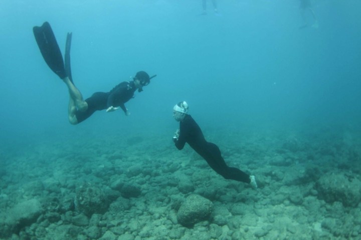 a person swimming in the water