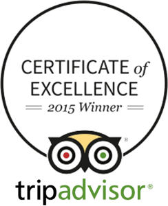 Certificate of excellence 2015