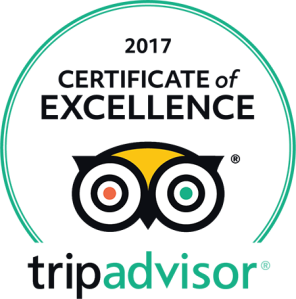 Certificate of excellence 2017