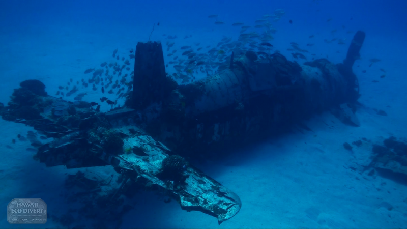 Corsair-26-800-800-100-c-wm-left_bottom-100-watermark2png Corsair-26-800-800-100-c-wm-left_bottom-100-watermark2png