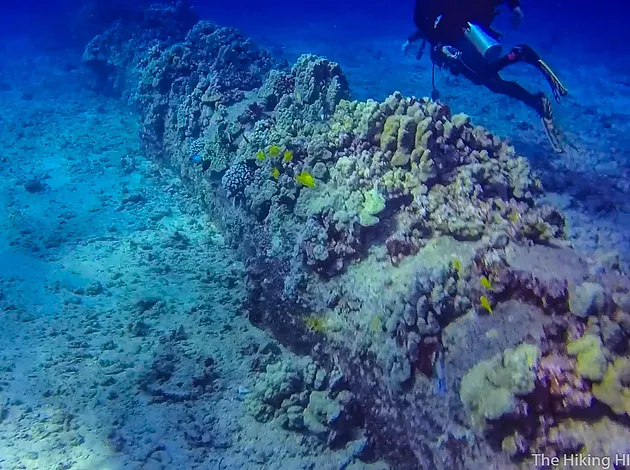 Kewalo-Pipe-Waikiki-Honolulu-Scuba-Dive a man swimming in the water