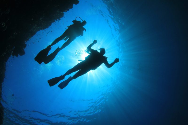 Couple of Scuba Divers Couple of Scuba Divers
