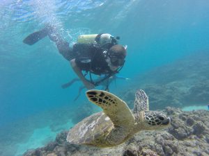 a person swimming in the water