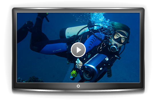 a screen shot of a video game