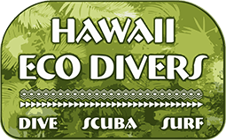 Hawaii Eco Divers Logo small Hawaii Eco Divers Logo