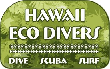 Hawaii Eco Divers & Surf Adventures