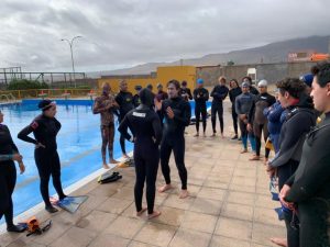 Ricardo Taveira has been teaching the Apnea & Surf Survival course for 12 years.