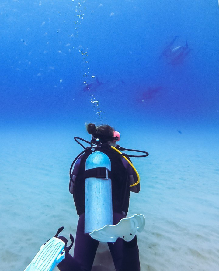 Guiding Scuba Dive Tours on Oahu as a PADI Divemaster