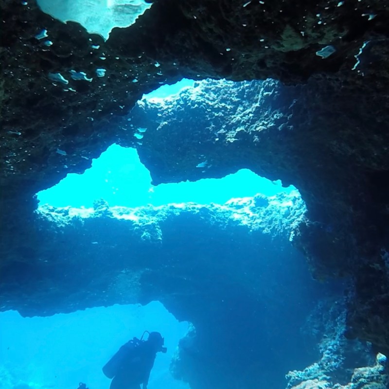 Cave Diving at Sharks Cove