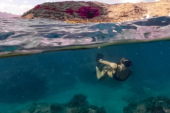 a group of people swimming in a body of water