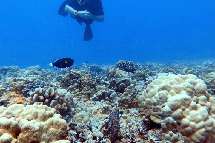underwater view of a swimming pool