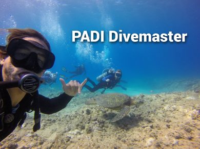 Diver taking selfie with others underwater near a turtle, text 'PADI Divemaster'.
